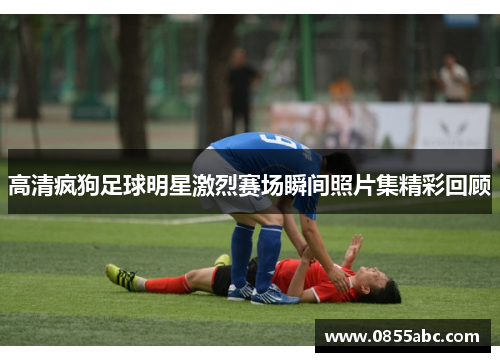 高清疯狗足球明星激烈赛场瞬间照片集精彩回顾