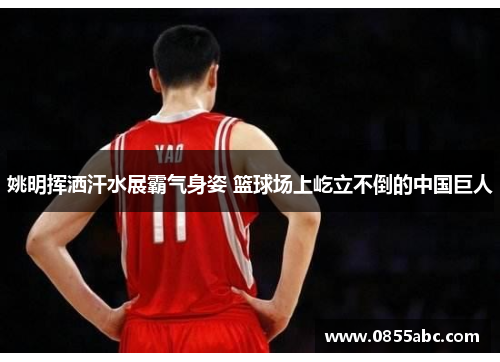 姚明挥洒汗水展霸气身姿 篮球场上屹立不倒的中国巨人