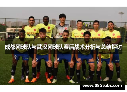 成都网球队与武汉网球队赛后战术分析与总结探讨