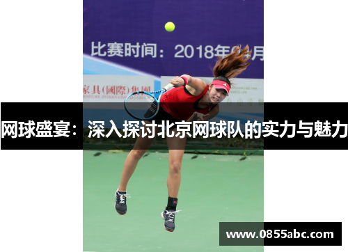 网球盛宴：深入探讨北京网球队的实力与魅力