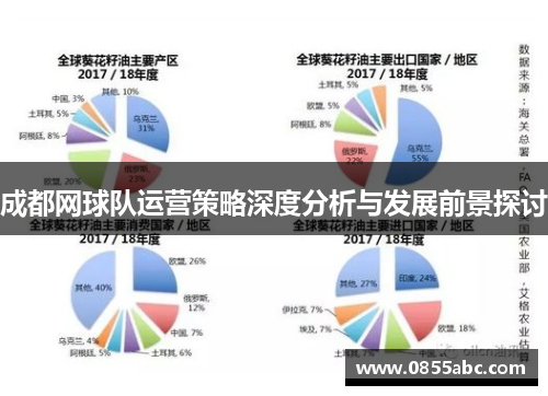 成都网球队运营策略深度分析与发展前景探讨