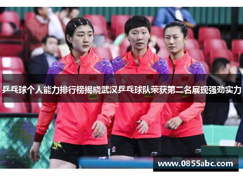 乒乓球个人能力排行榜揭晓武汉乒乓球队荣获第二名展现强劲实力