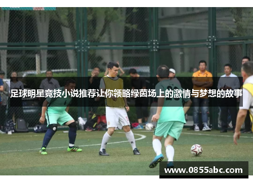 足球明星竞技小说推荐让你领略绿茵场上的激情与梦想的故事