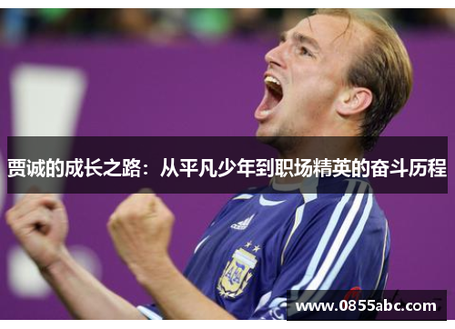贾诚的成长之路：从平凡少年到职场精英的奋斗历程